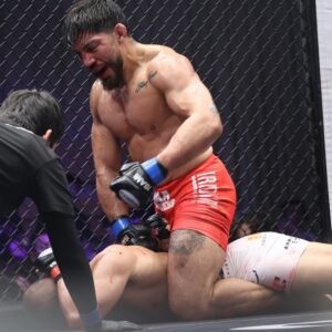 【メディア追加テスト】画像（中）：画像（中）キャプションあり